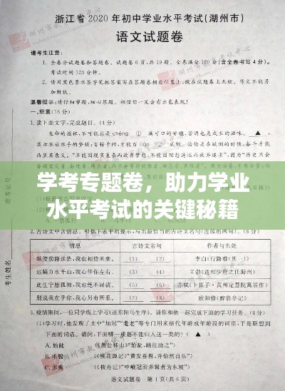 学考专题卷,助力学业水平考试的关键秘籍