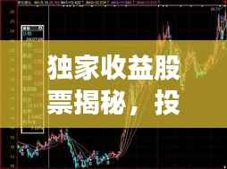 独家收益股票揭秘,投资高手的秘密武器!