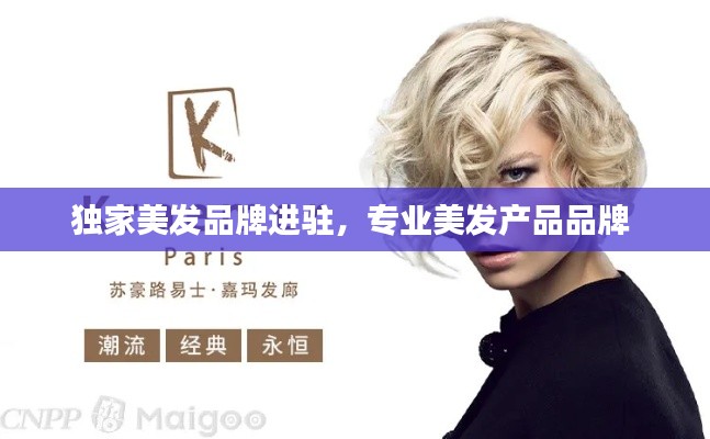 独家美发品牌进驻,专业美发产品品牌