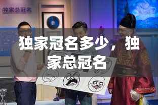 独家冠名多少,独家总冠名