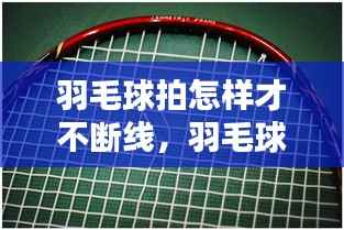 不求甚解 第3页