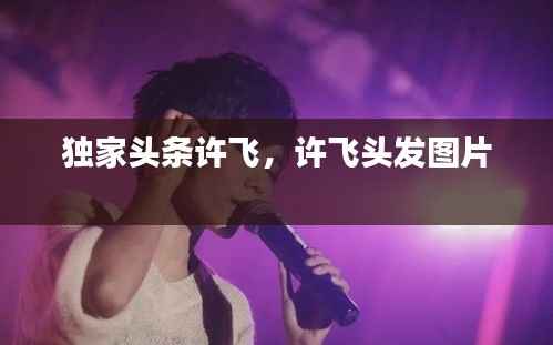 独家头条许飞,许飞头发图片