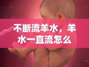 不断流羊水,羊水一直流怎么办会不会流玩