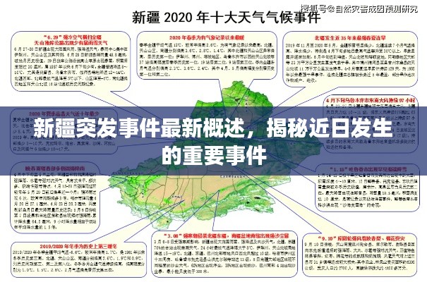 新疆突发事件最新概述,揭秘近日发生的重要事件