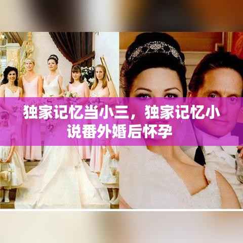 独家记忆当小三,独家记忆小说番外婚后怀孕