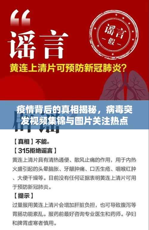 疫情背后的真相揭秘,病毒突发视频集锦与图片关注热点