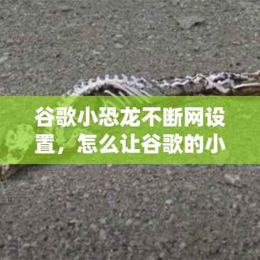 谷歌小恐龙不断网设置,怎么让谷歌的小恐龙动起来