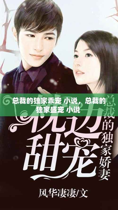 总裁的独家乖宠 小说,总裁的独家盛宠 小说