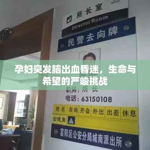 孕妇突发脑出血昏迷，生命与希望的严峻挑战