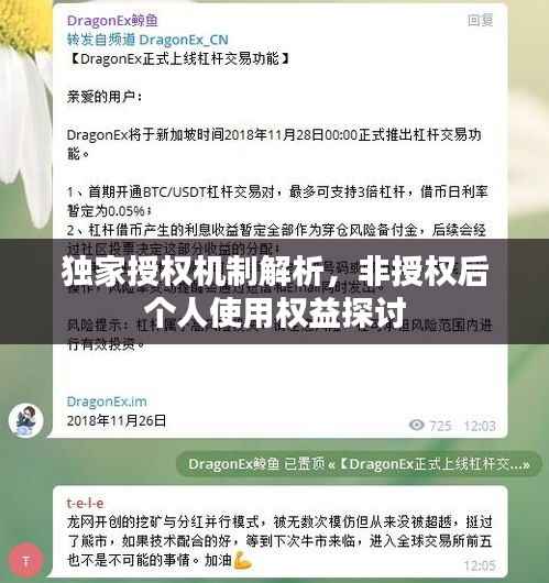 独家授权机制解析,非授权后个人使用权益探讨