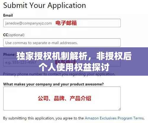 独家授权机制解析,非授权后个人使用权益探讨