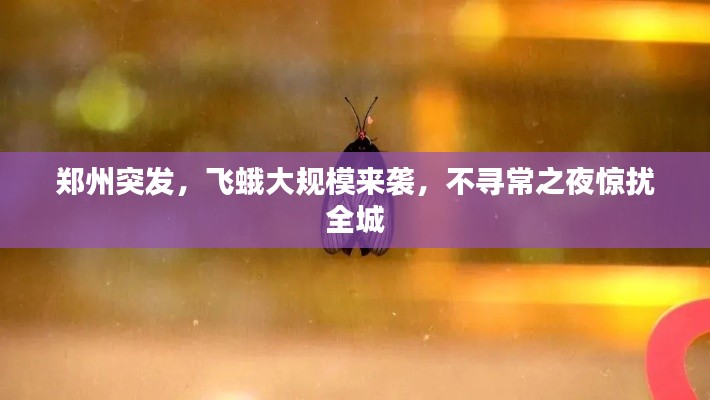 郑州突发,飞蛾大规模来袭,不寻常之夜惊扰全城