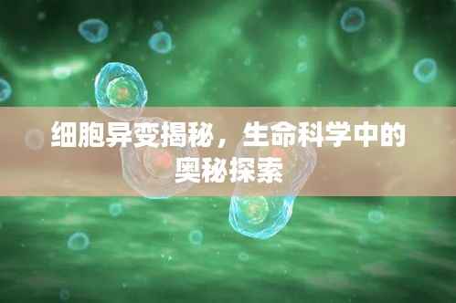 细胞异变揭秘,生命科学中的奥秘探索
