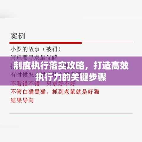 制度执行落实攻略,打造高效执行力的关键步骤