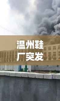 温州鞋厂突发大火,火势凶猛紧急救援行动启动