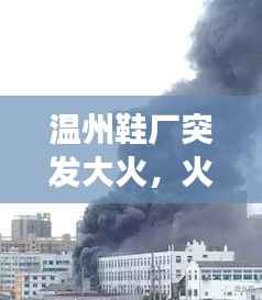 温州鞋厂突发大火,火势凶猛紧急救援行动启动