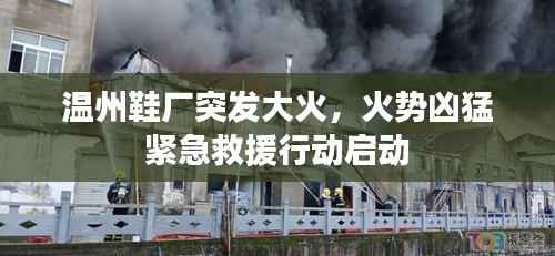 温州鞋厂突发大火,火势凶猛紧急救援行动启动