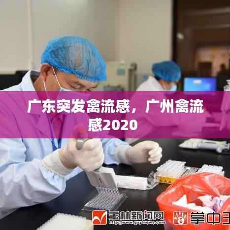 广东突发禽流感,广州禽流感2020