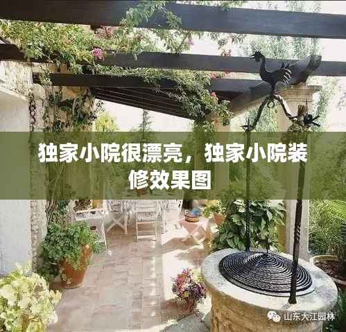 独家小院很漂亮,独家小院装修效果图