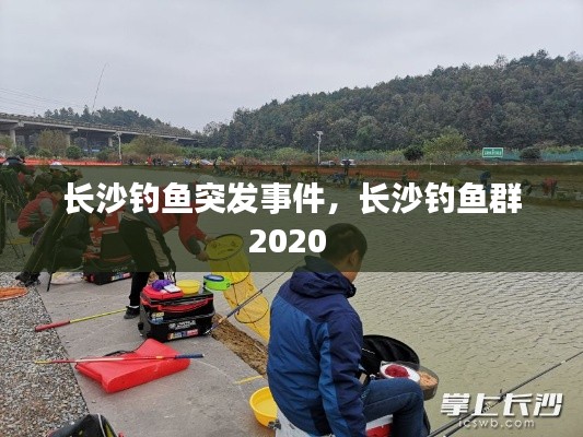 长沙钓鱼突发事件,长沙钓鱼群2020