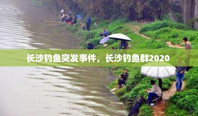 长沙钓鱼突发事件,长沙钓鱼群2020