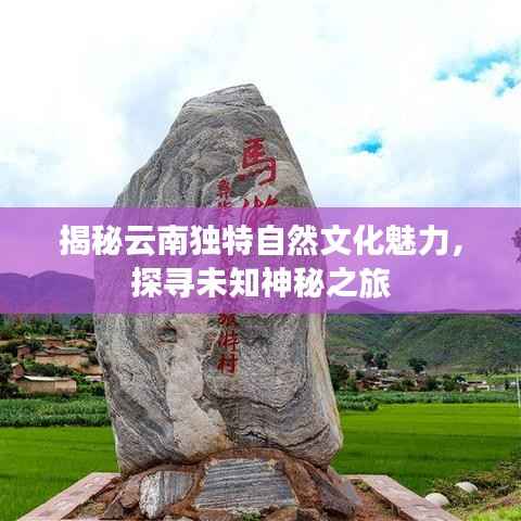 揭秘云南独特自然文化魅力,探寻未知神秘之旅