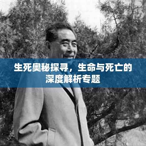 生死奥秘探寻,生命与死亡的深度解析专题