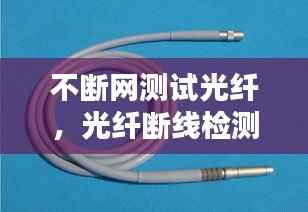 笨鸟先飞 第3页