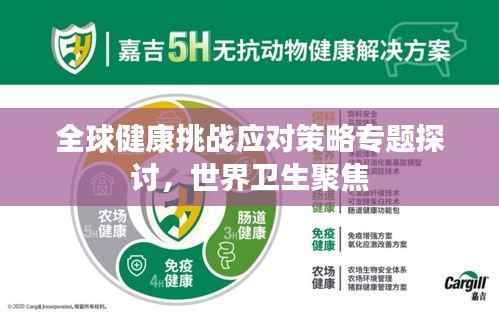 全球健康挑战应对策略专题探讨,世界卫生聚焦