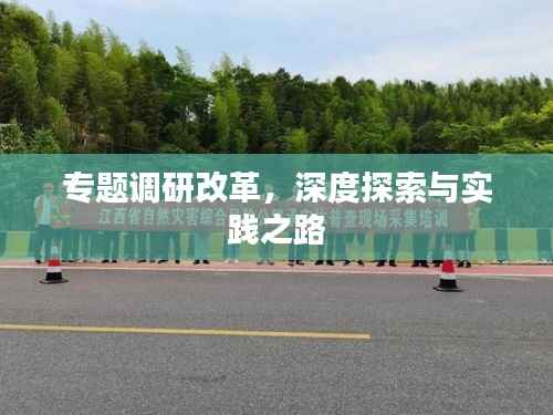 专题调研改革,深度探索与实践之路