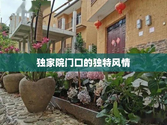 独家院门口的独特风情