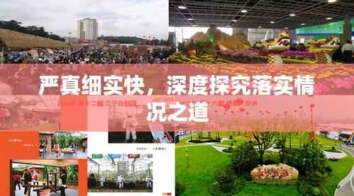 严真细实快,深度探究落实情况之道