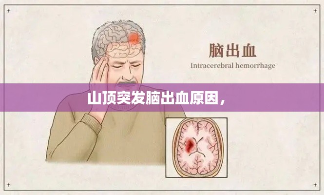 十年磨剑 第3页