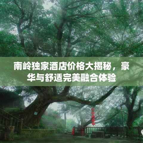 南岭独家酒店价格大揭秘,豪华与舒适完美融合体验