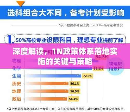 深度解读,1N政策体系落地实施的关键与策略
