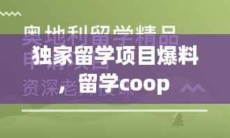 独家留学项目爆料,留学coop