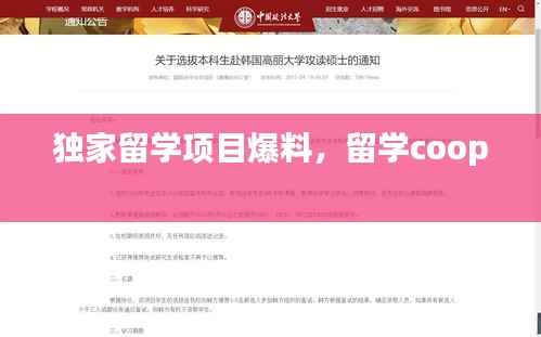 独家留学项目爆料,留学coop
