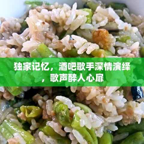 独家记忆,酒吧歌手深情演绎,歌声醉人心扉