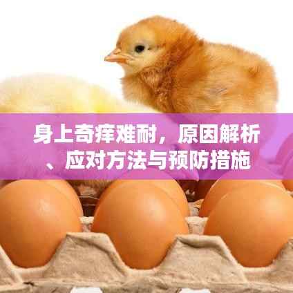 身上奇痒难耐,原因解析、应对方法与预防措施