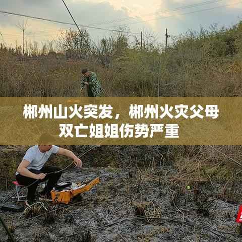 郴州山火突发,郴州火灾父母双亡姐姐伤势严重