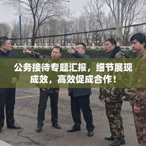 公务接待专题汇报,细节展现成效,高效促成合作!
