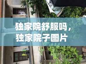 独家院舒服吗,独家院子图片