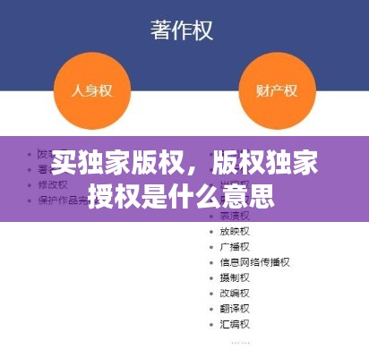 买独家版权，版权独家授权是什么意思 