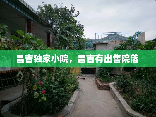 昌吉独家小院,昌吉有出售院落