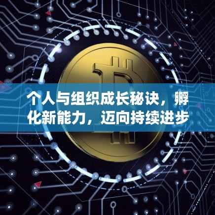 个人与组织成长秘诀,孵化新能力,迈向持续进步之路