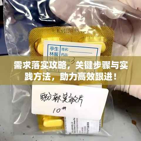 需求落实攻略,关键步骤与实践方法,助力高效跟进!