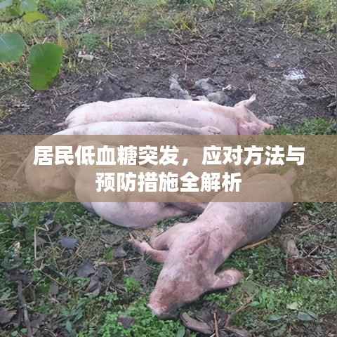 居民低血糖突发,应对方法与预防措施全解析