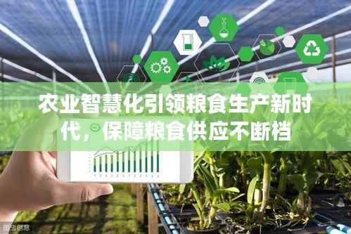 农业智慧化引领粮食生产新时代,保障粮食供应不断档