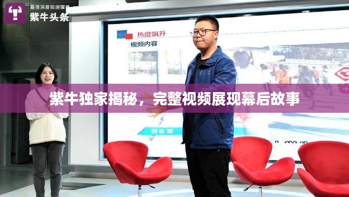紫牛独家揭秘,完整视频展现幕后故事