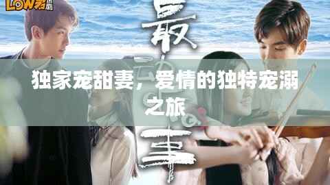 独家宠甜妻,爱情的独特宠溺之旅